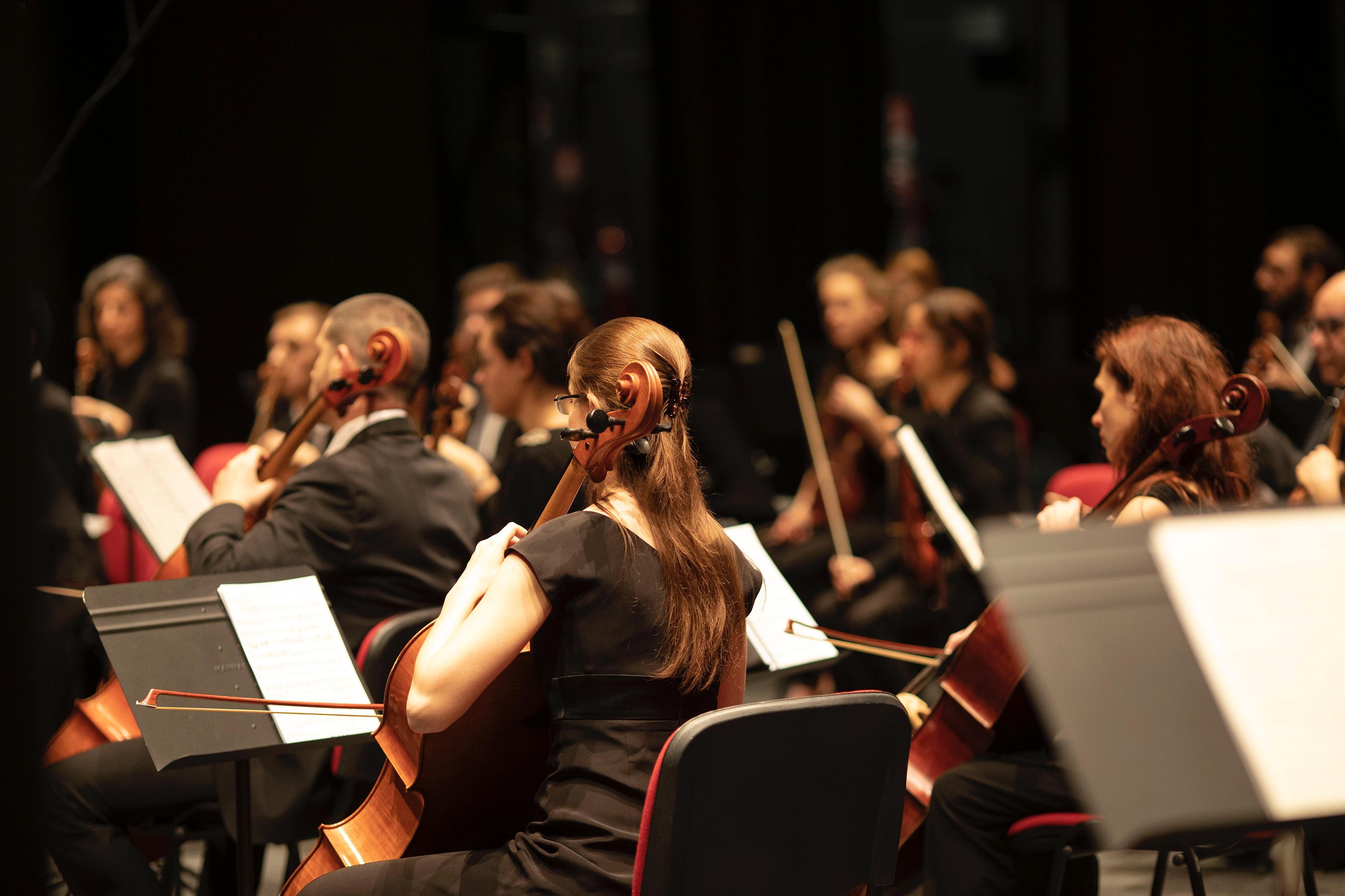 Immagine per Violiniste russe escluse a Gorizia, Fvg Orchestra abbandona il Lipizer